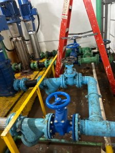 whatsapp-image-2024-06-28-at-10-26-40