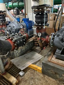 whatsapp-image-2024-06-28-at-10-42-29-1