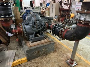 whatsapp-image-2024-06-28-at-10-42-29-2